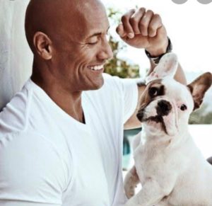 celebrities with french bulldog